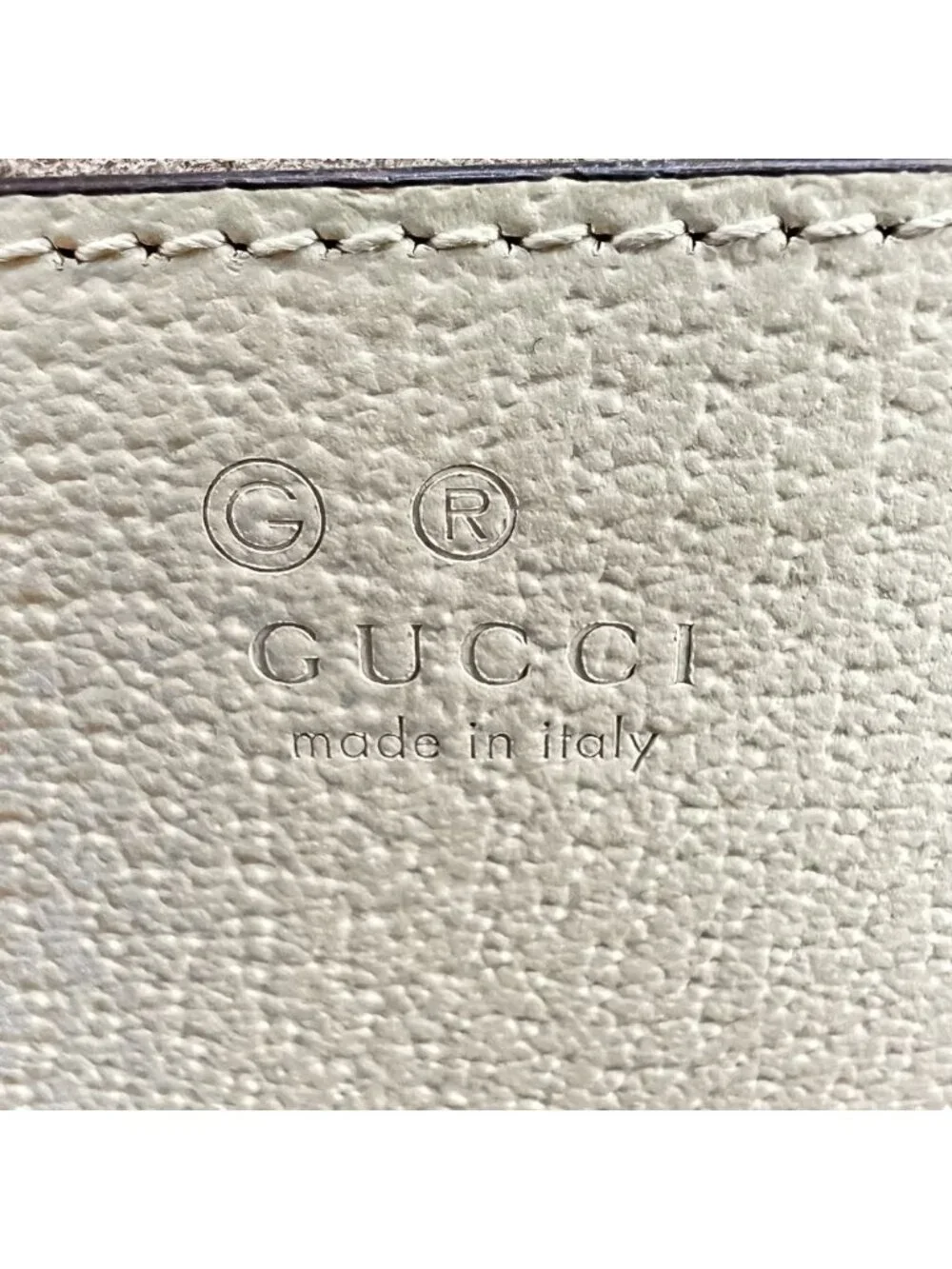 Gucci name ophidia